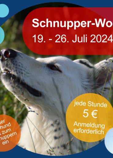 Ein Hund schnuppert - Text: Schnuppe-Woche vom 9. bis 26. Juli 2024, unser Bürohund lädt zum Schnuppern ein, jede Stunde 5 €, Anmeldung erforderlich