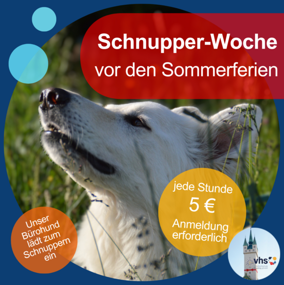 Ein Hund schnuppert - Text: Schnuppe-Woche vor den Sommerferien, unser Bürohund lädt zum Schnuppern ein, jede Stunde 5 €, Anmeldung erforderlich